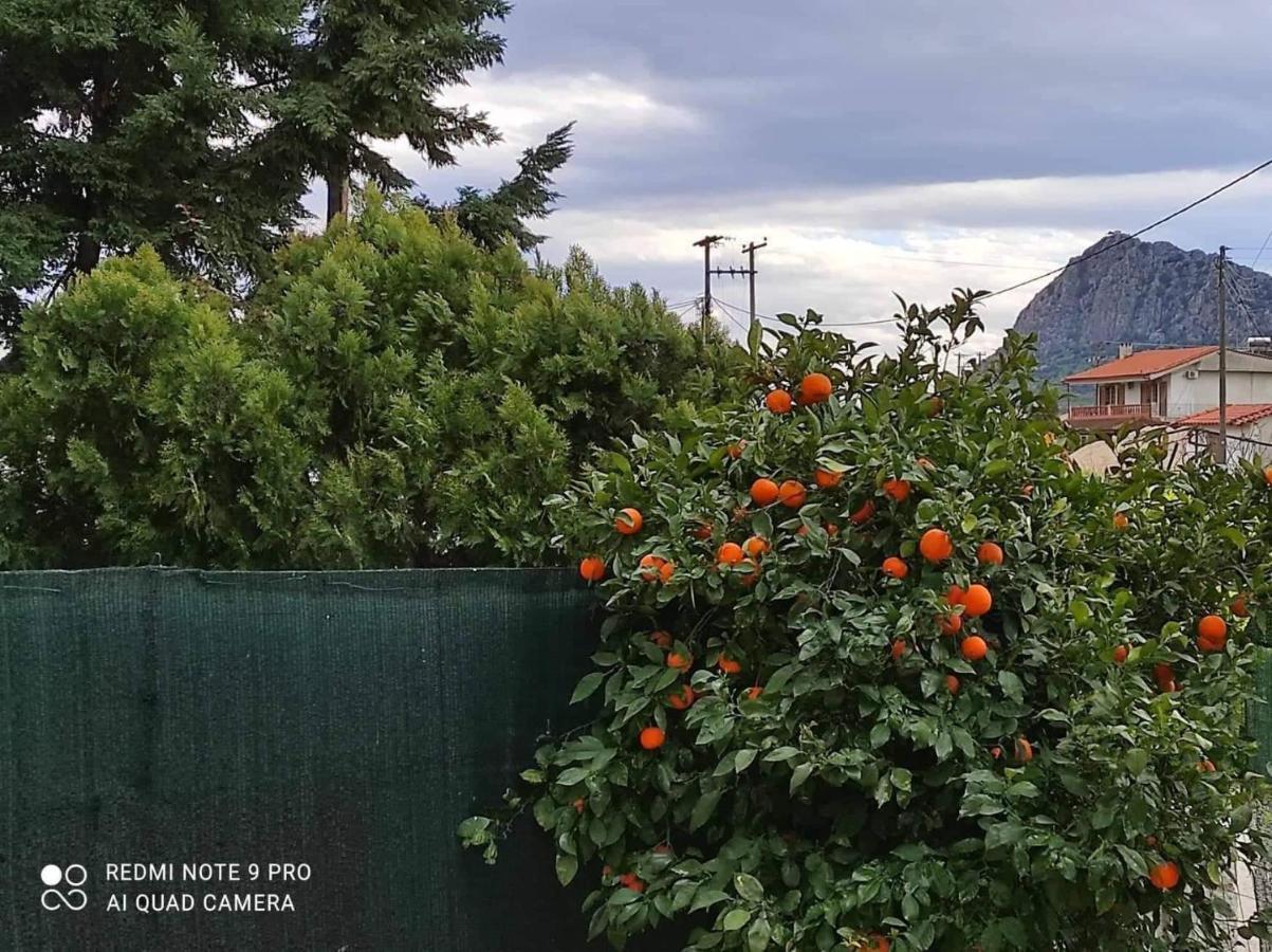 Nafplio Breeze Άνετη Διώροφη Κατοικία Από 4 Έως 9 Επισκέπτες מראה חיצוני תמונה
